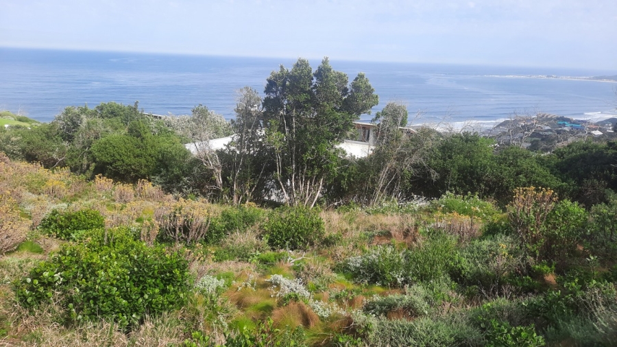 0 Bedroom Property for Sale in Brenton On Sea Western Cape